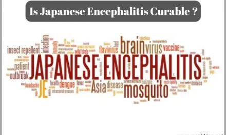 Is Japanese Encephalitis Curable ? (Must Check)