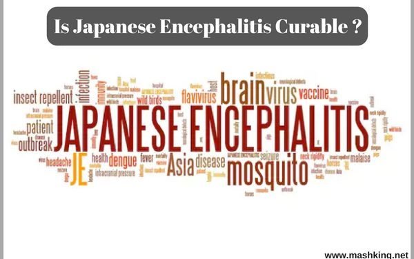 Is Japanese Encephalitis Curable ? (Must Check)