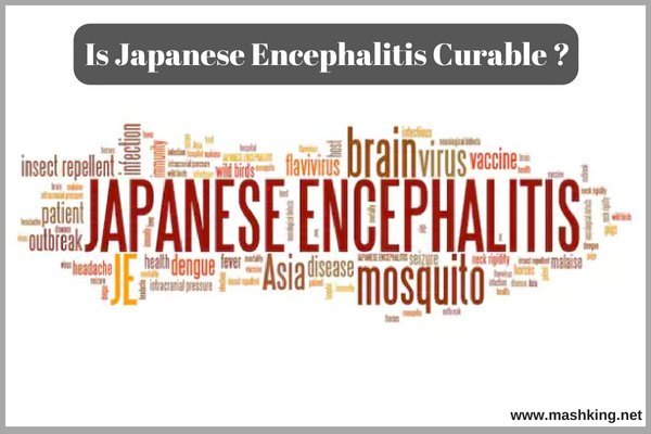 Japanese Encephalitis Curable