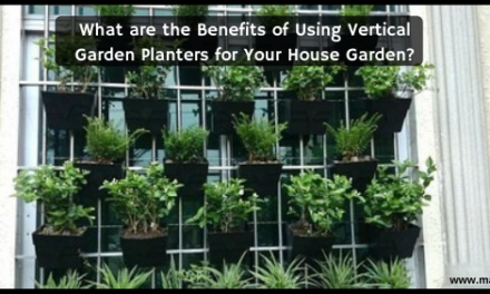 What are the Benefits of Using Vertical Garden Planters for Your House Garden?