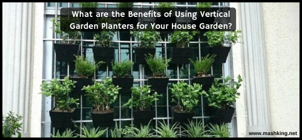 What are the Benefits of Using Vertical Garden Planters for Your House Garden?