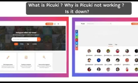 What is Picuki ? Why is Picuki not working? Is it down?