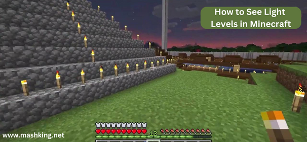 How to Delete Local Files on Spotify 