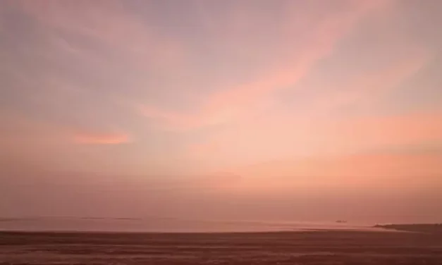 What Are Some Of the Must-Visit Beaches in Alibaug? 